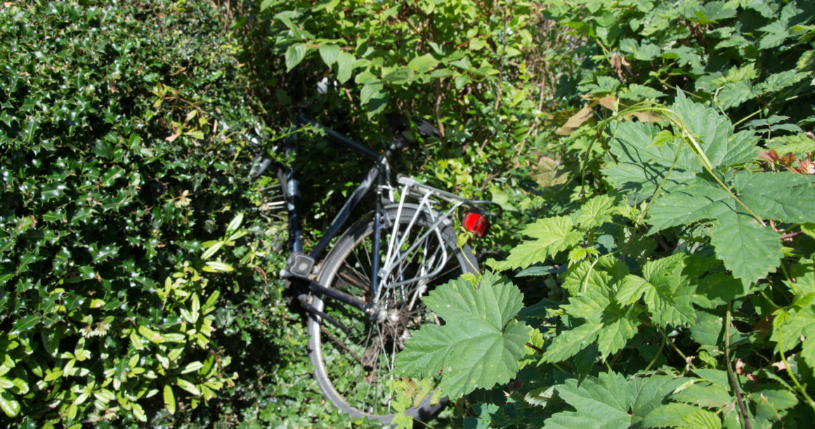 De Brugpartij en het 20-punten fietsactieplan van de Fietsersbond