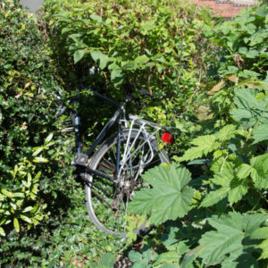 De Brugpartij en het 20-punten fietsactieplan van de Fietsersbond